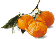 FREMONT MANDARIN