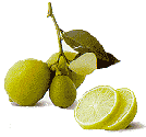MEXICAN LIME