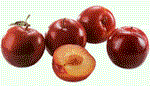 Beach Plums