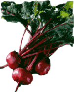 Beetroot