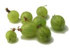 Gooseberries