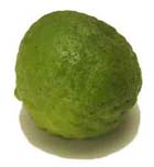 Kaffir lime