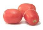 Bush Tomatoes