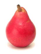 Native Pear